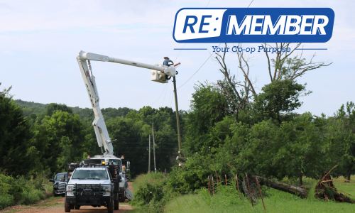 More Than a Customer: What It Means to Be a Member of Lake Region